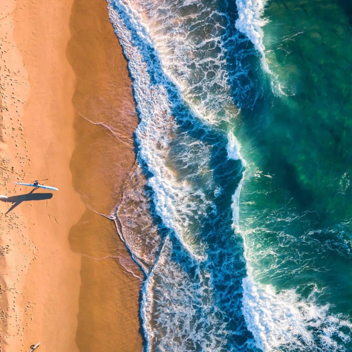 Vue aérienne d'une plage landaise : un surfeur marche sur le sable, planche sous le bras, au bord des vagues